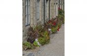 Boulevard Plantship Planters