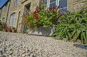 Close Up Of Boulevard Plantship Planter