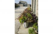 Fibre Reinforced Cement Plantship Planters