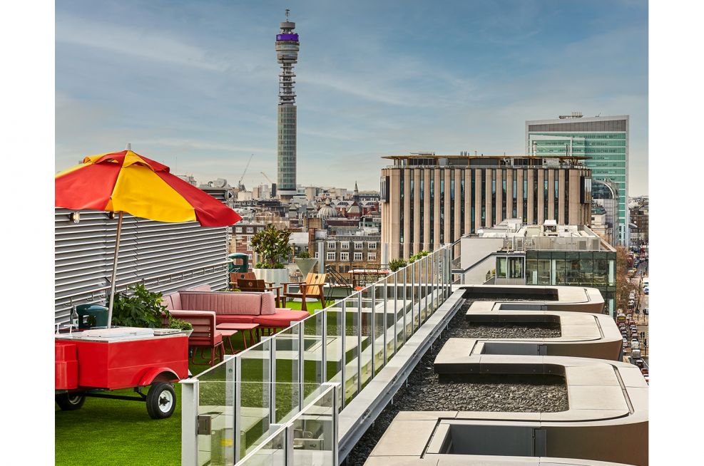 Roof terrace planters in London