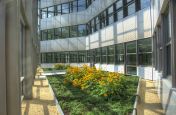 Extra Large Planters At The Rear Grand Atrium