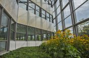 Super Large Planters For The Rear Grand Atrium