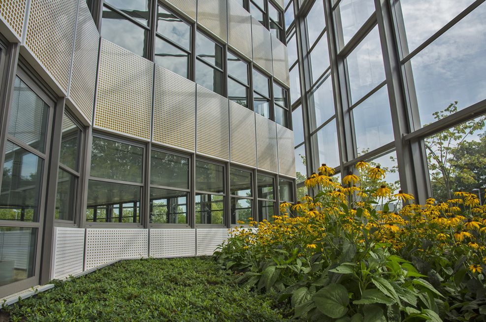 Super Large Planters For The Rear Grand Atrium
