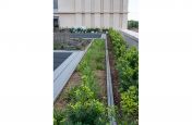 Steel planter for communal roof garden