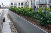 Custom rectangular planters for rooftop garden