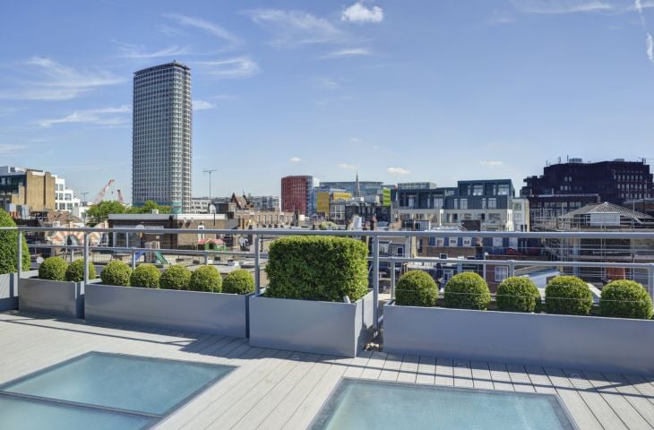 A large rooftop becomes a pleasant space when edged with greenery