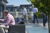 Square Planters and Tree Parents On The Roof Terrace