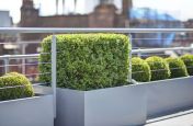 Steel Garden Trough Planters and Tree Planters