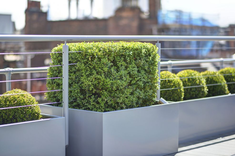Steel Garden Trough Planters and Tree Planters