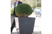 Taper 800 Planters Made From Granite
