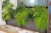 Hotel Foyer Granite Planters