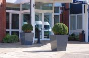 Taper 800 Planters At The Entrance To The Belfry