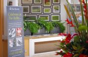 Trough Planters within The Hotel Foyer