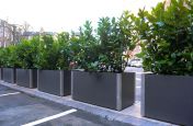 Delta Carat Steel And Fibre Planters