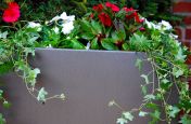 Bespoke Steel Galvanised Planters