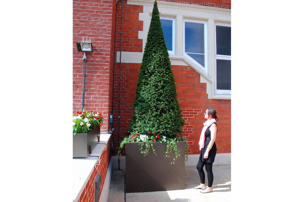 Stainless Steel Tree Planter With Galvanised Liner