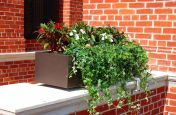 The Steel Trough Planters on Pavillion Terrace