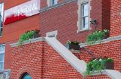 Window Box Steel Trough Planters