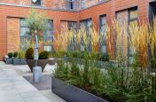 Basalt Grey Planters At The Old Library, Leamington Spa