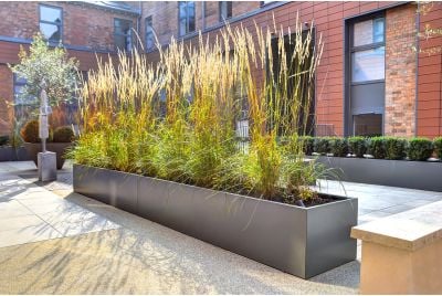 Bespoke Steel Trough Planters At The Old Library, Leamington Spa