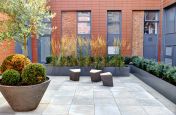 The Old Library Steel Planters