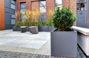 Steel Planters Close Up