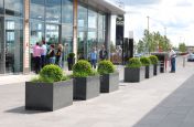 Lines Of Granite Planters Outside The Outlet