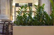 Indoor Steel Planters Sealed Watertight