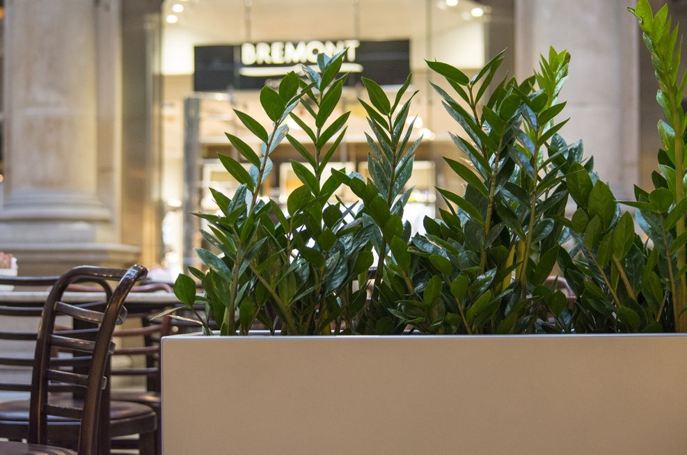 Indoor Steel Planters Sealed Watertight