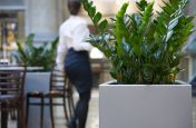 Zintec Steel, Polyester Powder Coated Planters