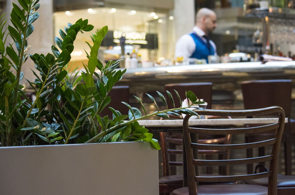 Zintec Steel Polyester Powder Coated Planters