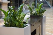 IOTA Steel Planters At The Reception Desk