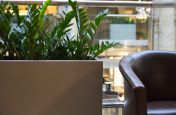 Steel Planters Alongside Tables and Chairs