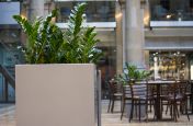 Steel Planters Frame The Reception Desk