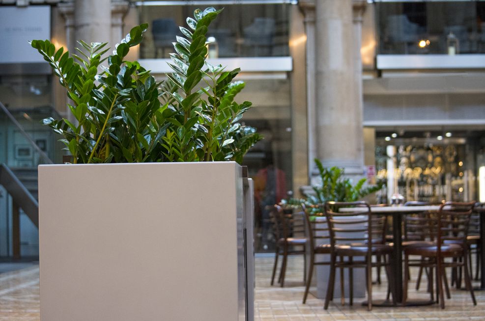 Steel Planters Frame The Reception Desk