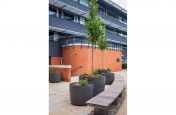 Large & extra large planters