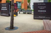 Large planters for public spaces