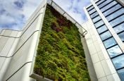 The Living Wall At The University of Bristol, Life Sciences