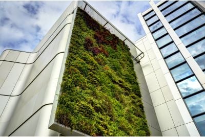 The Living Wall At The University of Bristol, Life Sciences