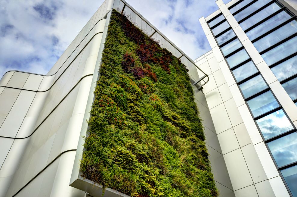 The Living Wall At The University of Bristol, Life Sciences