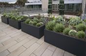 Bespoke Planters at the University of Greenwich, London SE10