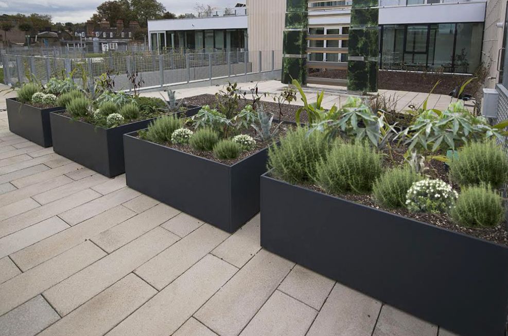Bespoke Planters at the University of Greenwich, London SE10