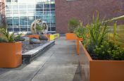 Rectangular Coloured Steel Planters