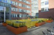 Rectangular Trough Planters