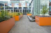 Steel Planters With RAL 2003 Pastel Orange Looks