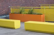 Striking Contrast planters