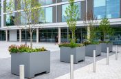 Movable steel planters for trees