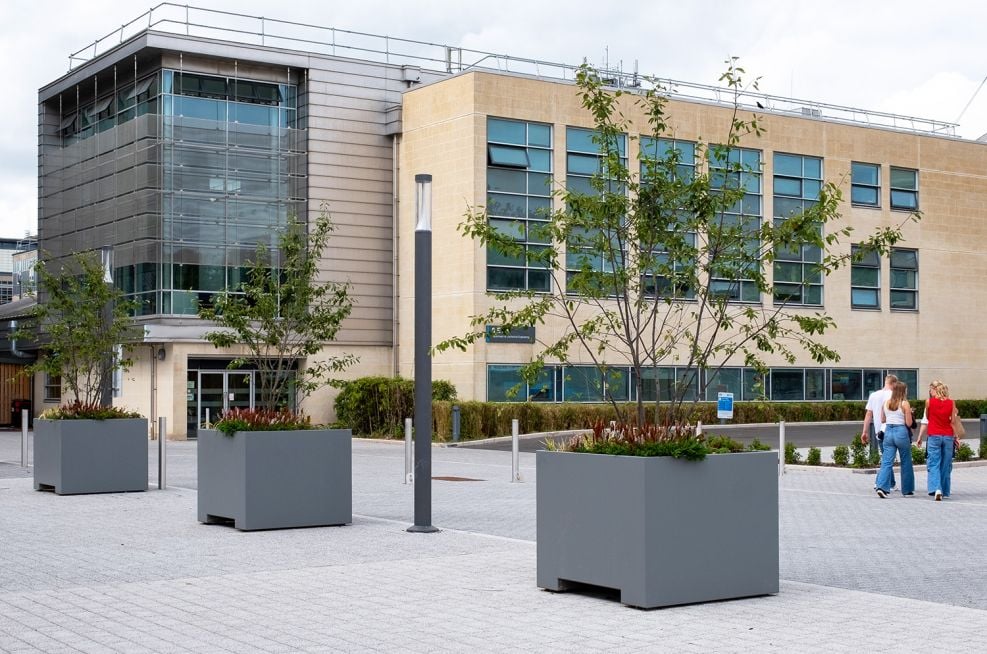 Large metal tree planters over 1m