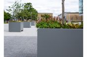 Large rectangular planters for trees