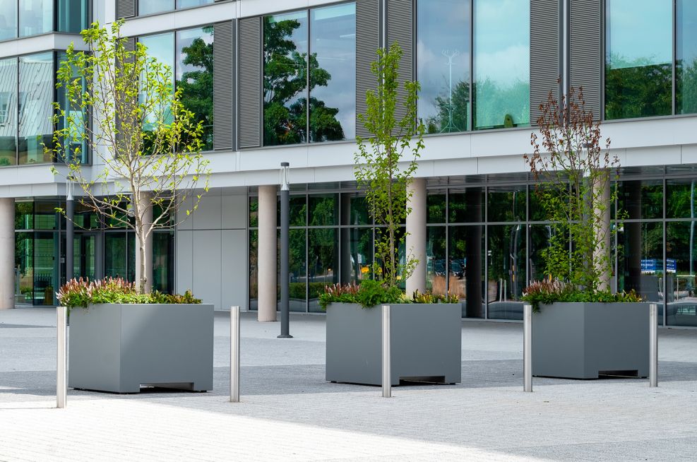 Movable planters for trees